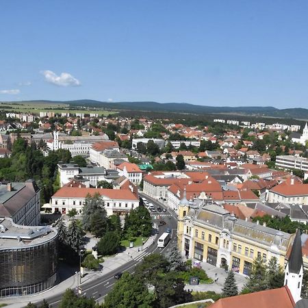 Panorama View Family Apartment Veszprém Exterior foto